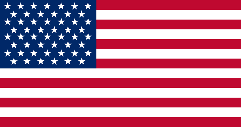 selected language flag